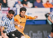 沃特福德客场战平卡迪夫城，继续稳步前行的简单介绍